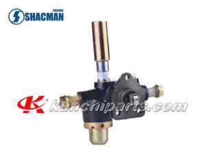 Weichai WD618 612600080353 sūknis