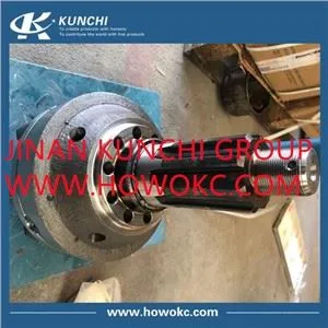 Sinotruk HOWO 99014320166 Differential Assembly
